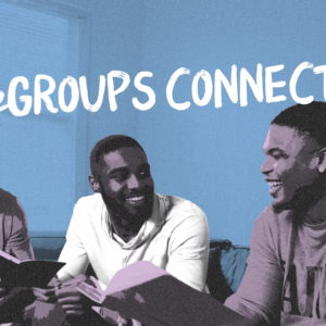 Dummy Product for Testing